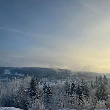 Koselig Rom I Rolige Omgivelser Amot Exterior foto